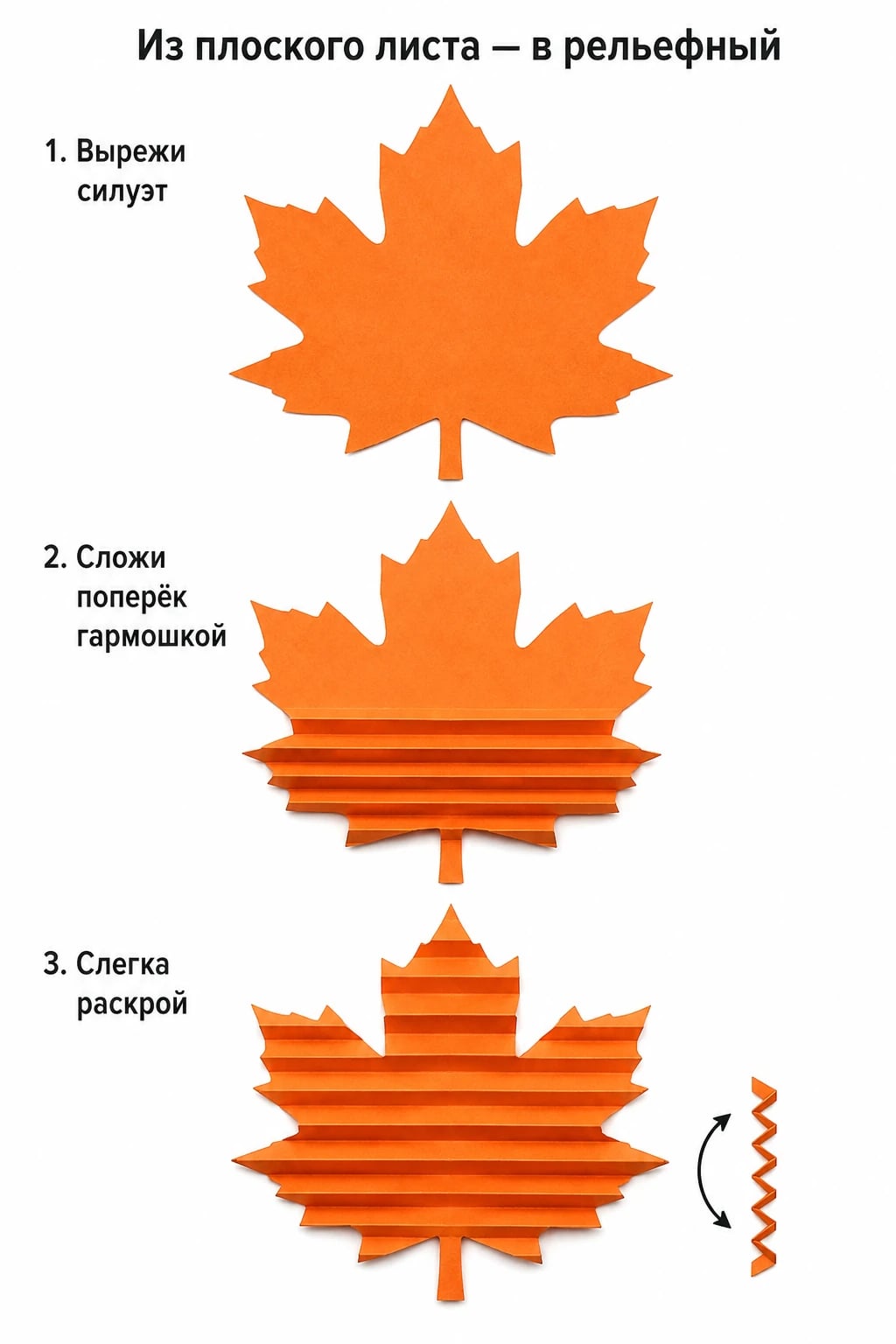 Плоский бумажный кленовый лист, частично выполненные горизонтальные складки и слегка раскрытая рельефная гармошка