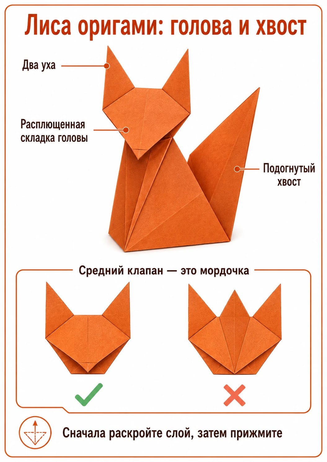 Контрольная иллюстрация сидящей лисы и сравнение раскрытой мордочки с торчащим средним клапаном