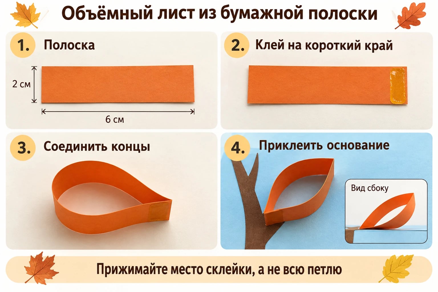 Объёмный лист из бумажной полоски. 1. Полоска; 2. Клей на короткий край; 3. Соединить концы; 4. Приклеить основание.